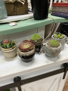 Little Mini Boho Succulent Pots