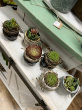 Load image into Gallery viewer, Little Mini Boho Succulent Pots
