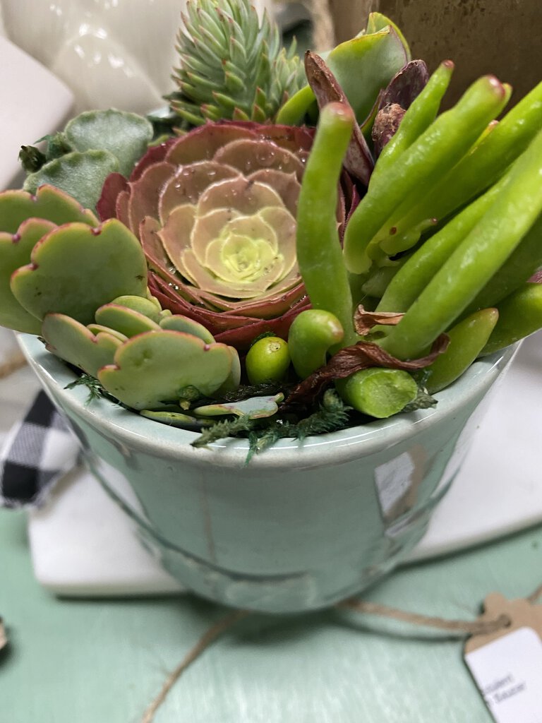 Sea green Succulent pot