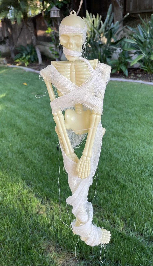 Halloween Mummy Skeleton