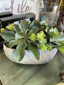 Faux Beautiful Succulents with white pot