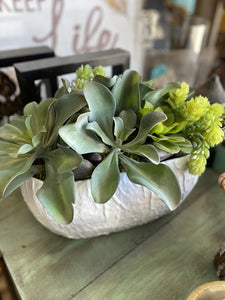 Faux Beautiful Succulents with white pot