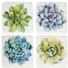 Load image into Gallery viewer, 14664 Succulent Coaster Set/4, Resin
