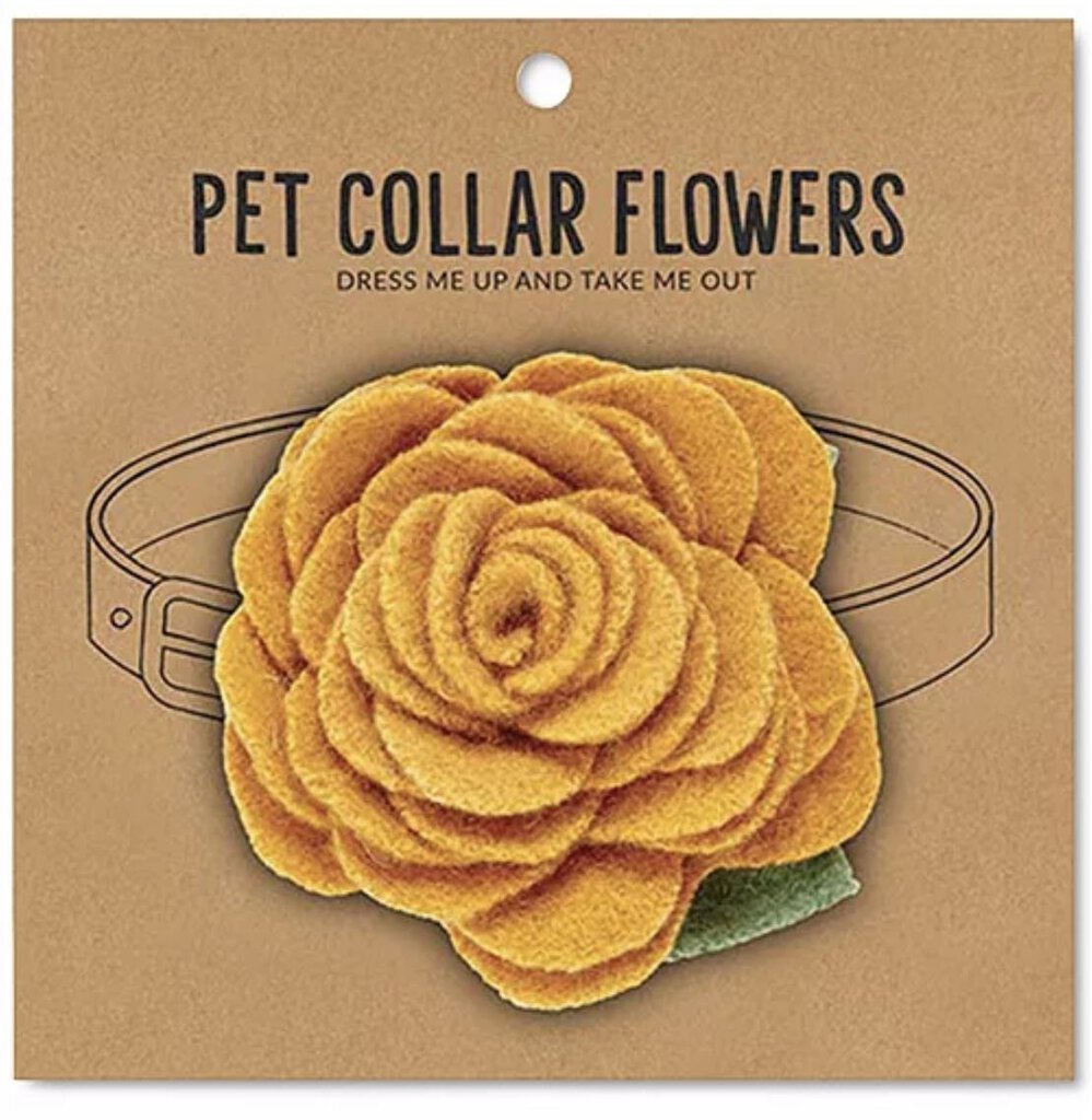 14668 Pet Collar Flower, Marigold
