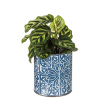 Load image into Gallery viewer, 14711 Block Print Planter, Blue, Sm, Metal
