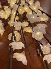 Load image into Gallery viewer, 6905 Cherry Blossom Stems, Light-Up (Battery Operated), Set/2
