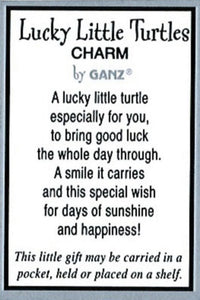 14762 Lucky Little Turtle Charm w/Card