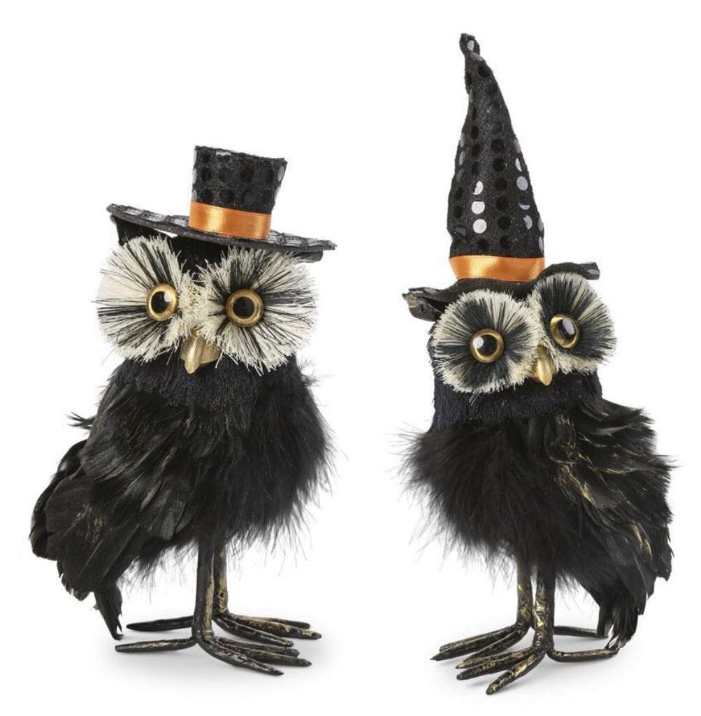 14993 Black Feather Owls w/ Hats, 9