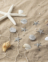 Load image into Gallery viewer, 14960 Stars In The Sea Starfish Charm, w/Card
