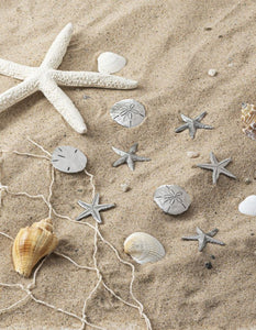 14960 Stars In The Sea Starfish Charm, w/Card