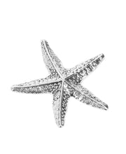 Load image into Gallery viewer, 14960 Stars In The Sea Starfish Charm, w/Card
