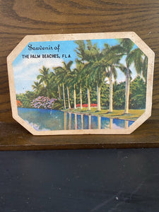 Souvenir Hot Dish Mat Palm Beach Fla 5"x7" bpv025