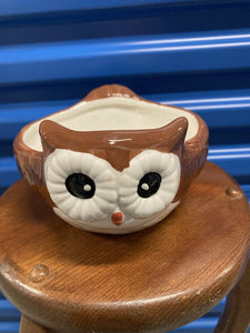 Owl Planter Bowl