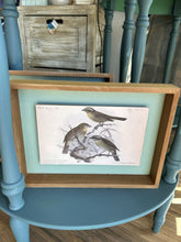 Load image into Gallery viewer, Vintage like Bird Print
