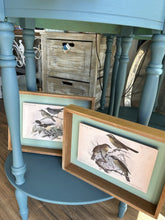 Load image into Gallery viewer, Vintage like Bird Print
