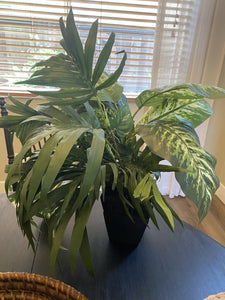 Artificial tropical plants in brown vase