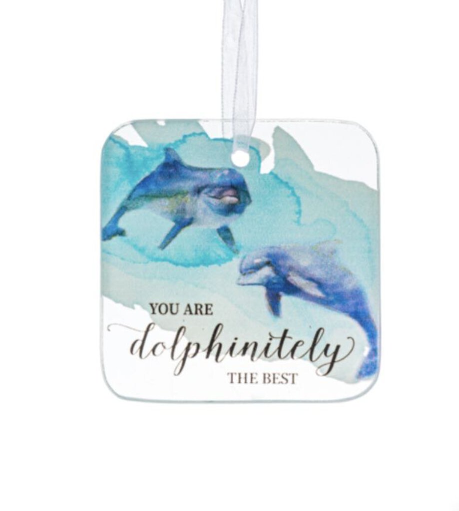 15104 You Are Dolfinitely The Best-Glass Ornament