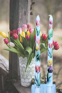 Taper Candles - Tulips