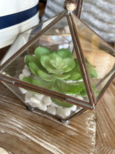 Load image into Gallery viewer, Covered Jar with succulent and stones large
