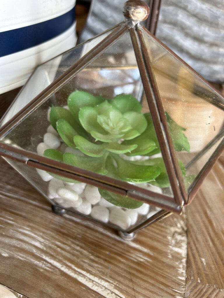 Covered Jar with succulent and stones large