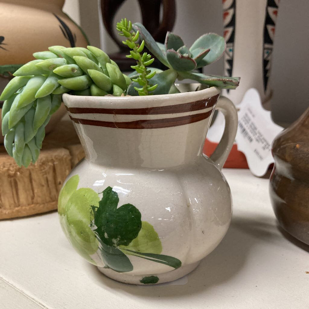 Live succulents in vintage pot