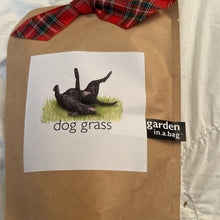 Load image into Gallery viewer, Dog grass garden in a bag potting Shed
