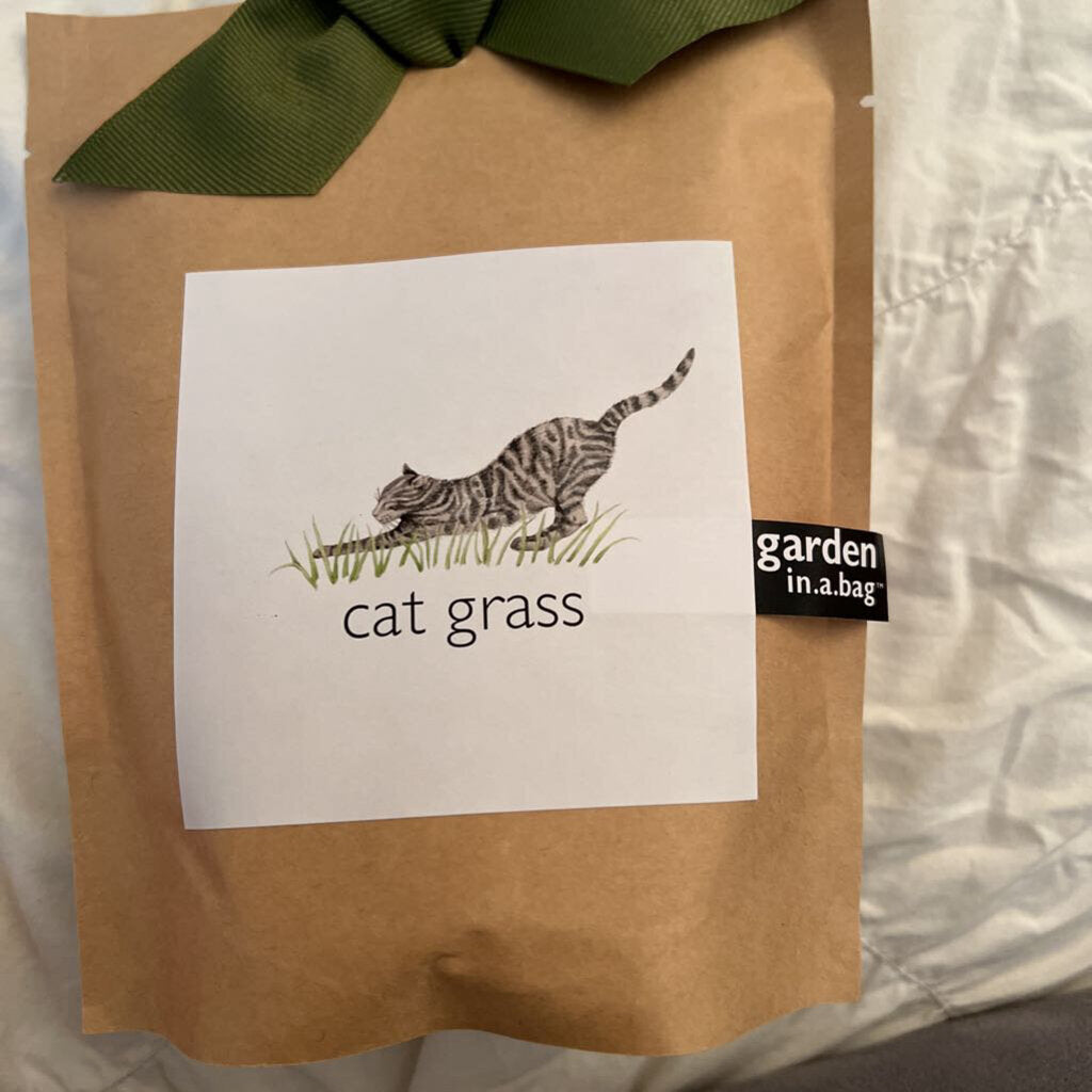 Cat grass garden in a bag potting Shed