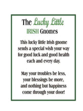 Load image into Gallery viewer, 14607 Lucky Little Irish Gnome Charm w/Card
