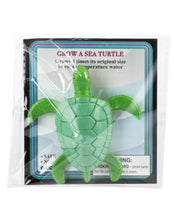 Load image into Gallery viewer, 15512 Grow A Sea Turtle
