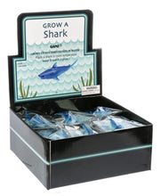 Load image into Gallery viewer, 15513 Grow A Shark
