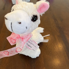 Load image into Gallery viewer, Lovey Pacabuddy Alpaca stuffed toy
