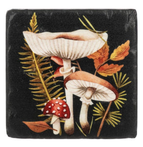 15516 Mushroom Coasters, Set/4
