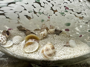 Glass Fish with Sand and Seashell Treasures