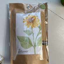 Load image into Gallery viewer, Mini Sunflower Garden in a bag Potting Shed
