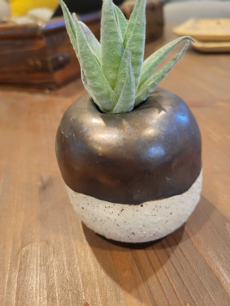 Small dark gold and speckled vase with succulent