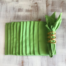 Load image into Gallery viewer, 13130 Apple Green Dinner Napkin
