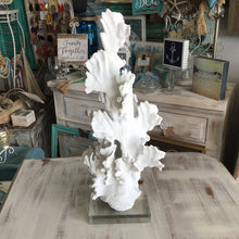 Load image into Gallery viewer, 13887 Faux Coral on Acrylic Base
