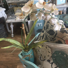 Load image into Gallery viewer, Aqua Ceramic Mason Jar Orchid
